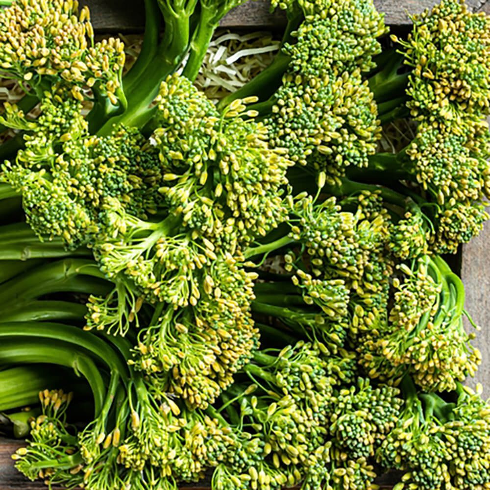 Baby-Broccolini-img-4
