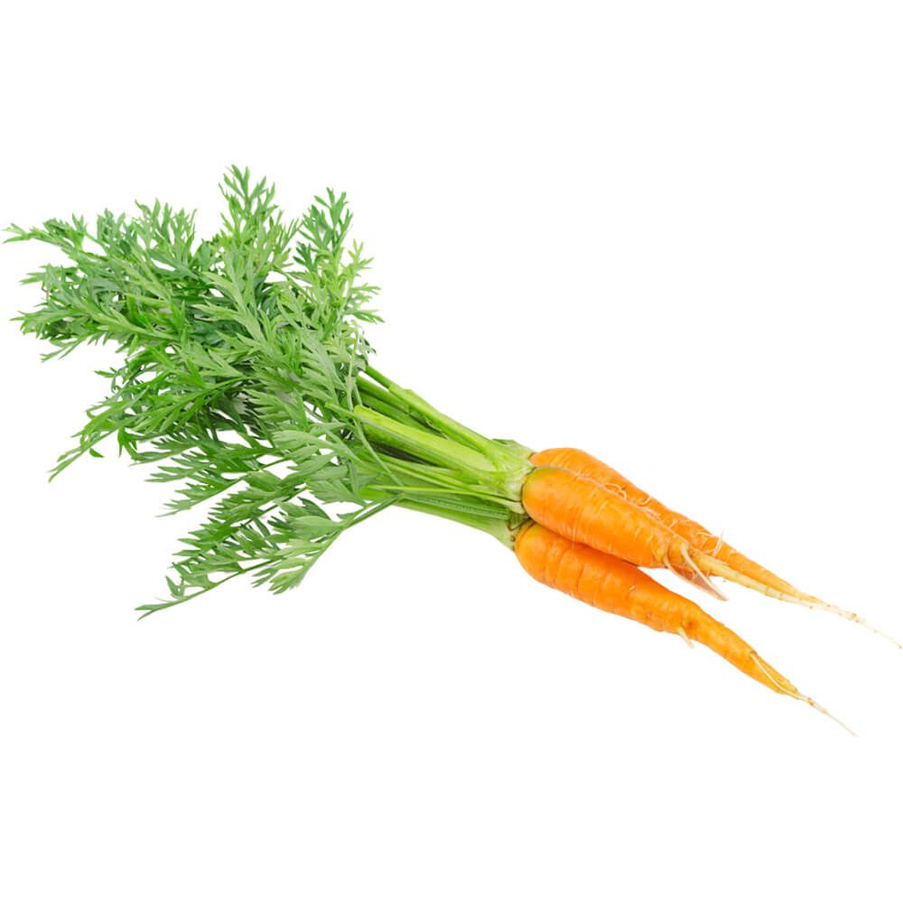 Baby-Carrot-with-Leaf-img-3