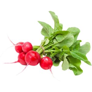 Baby Radish Red