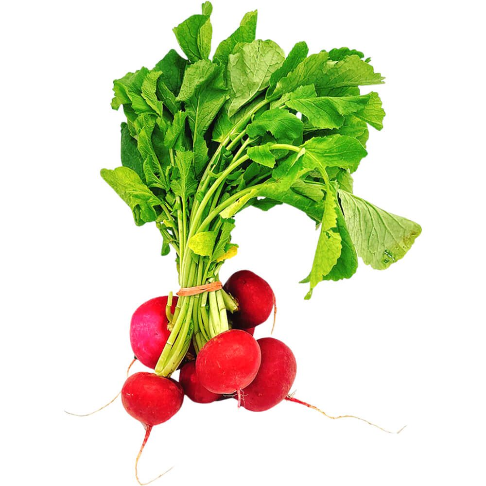 Baby-Radish-Red-img-2