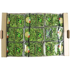 Baby Rocca Box Italy