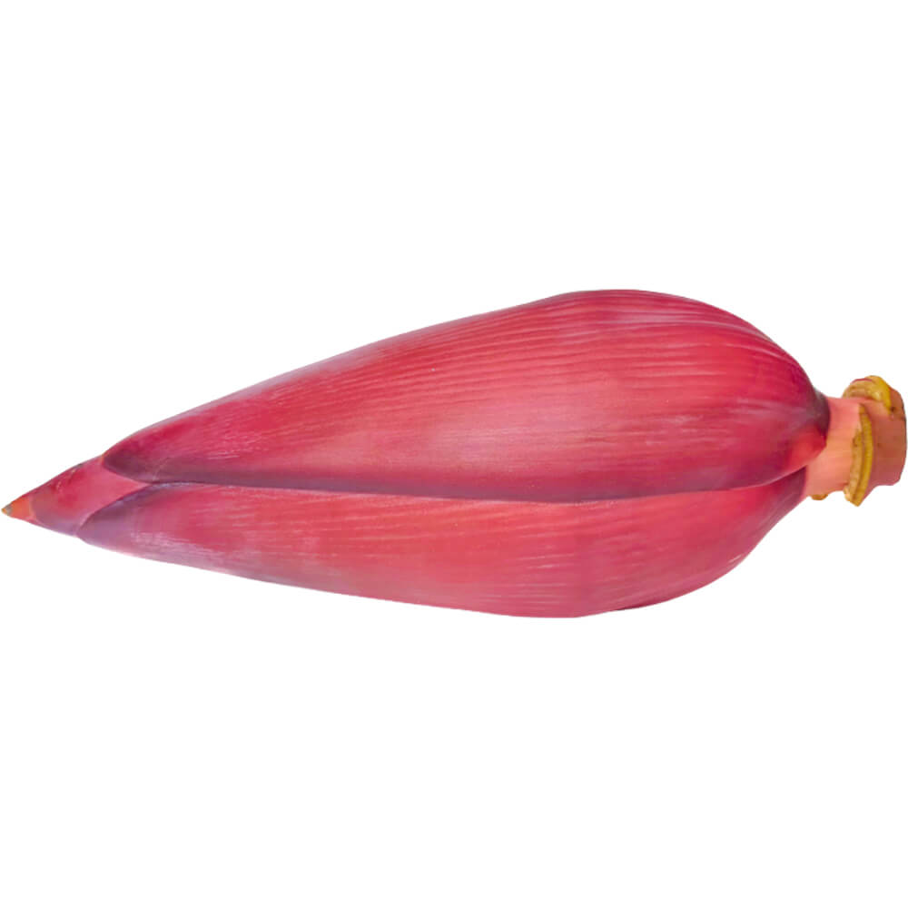Banana-Blossom-Flower-img-2