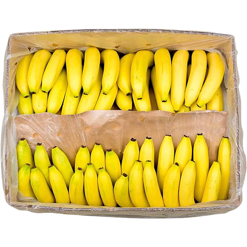 Banana-Chiquita-Box-img-2