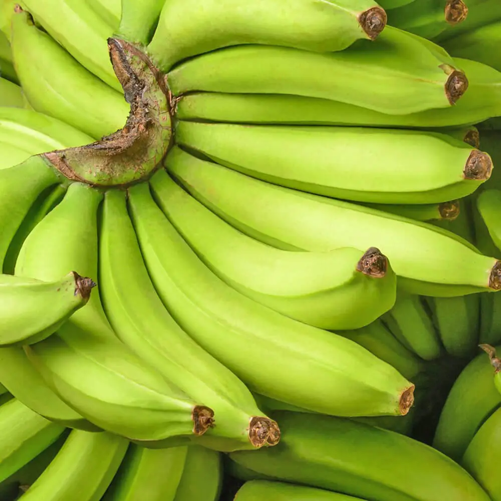 Banana-Green-img-3