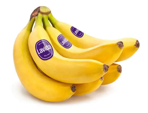 Banana Lavida
