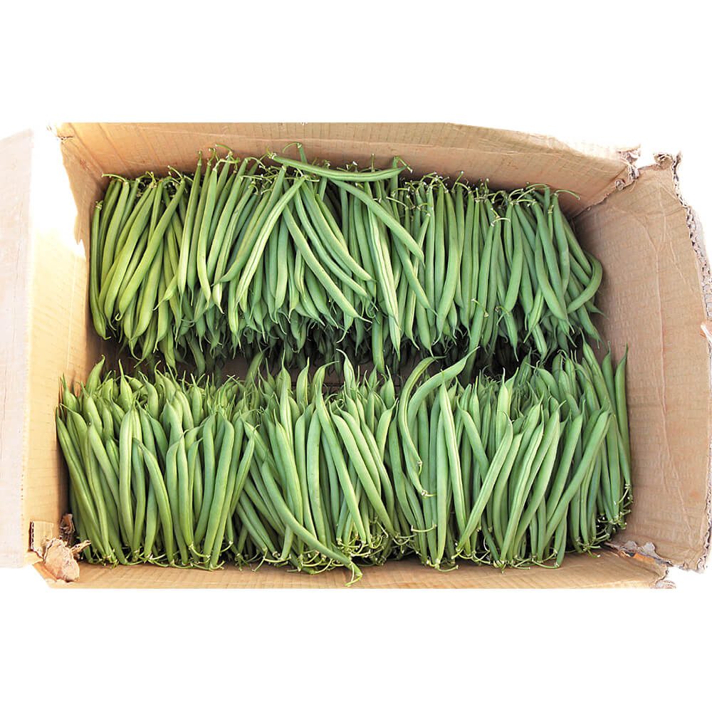 Beans Green Kenya Box