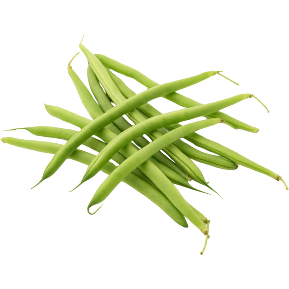 Beans-Green-img-3