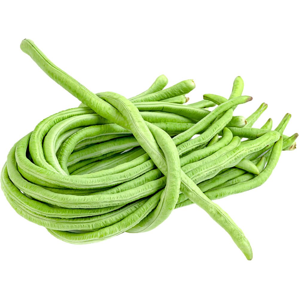 Beans-Long-img-2