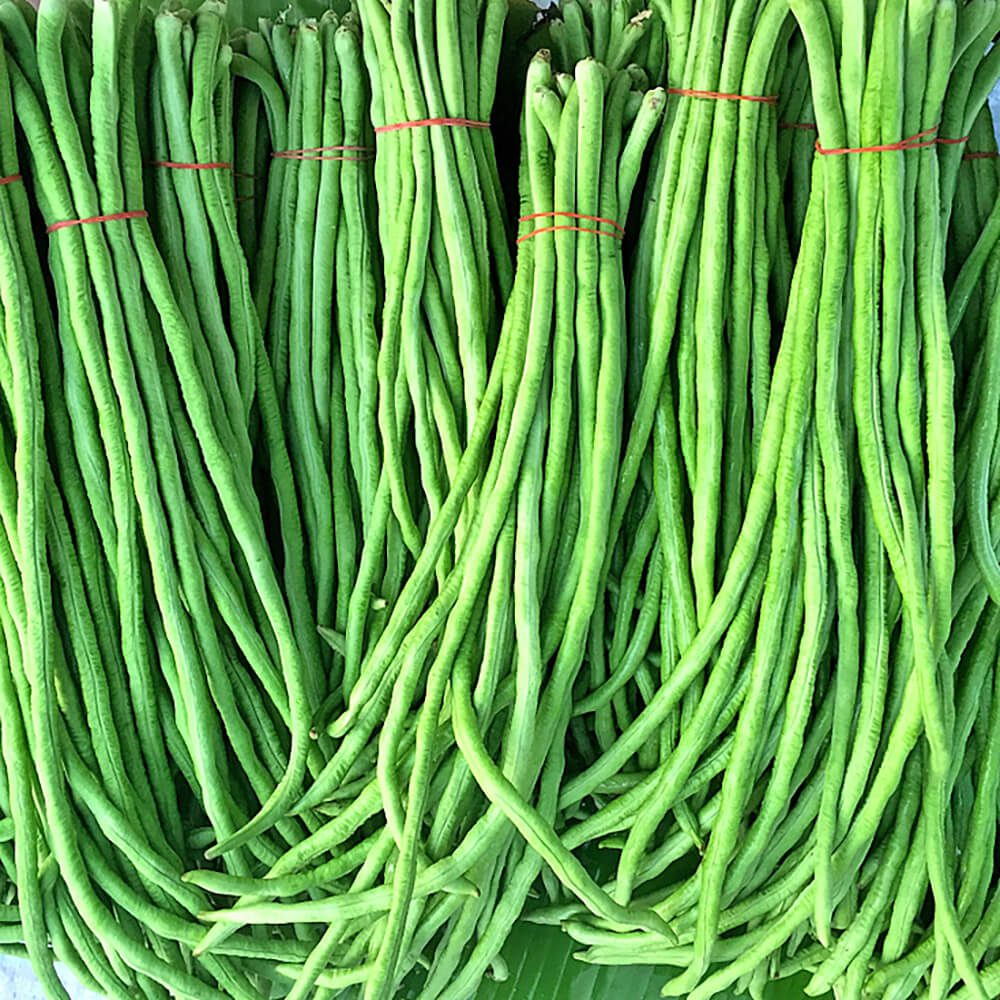 Beans-Long-img-4