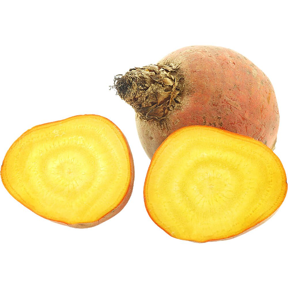 Beetroot-Yellow-Netherlands-img-2