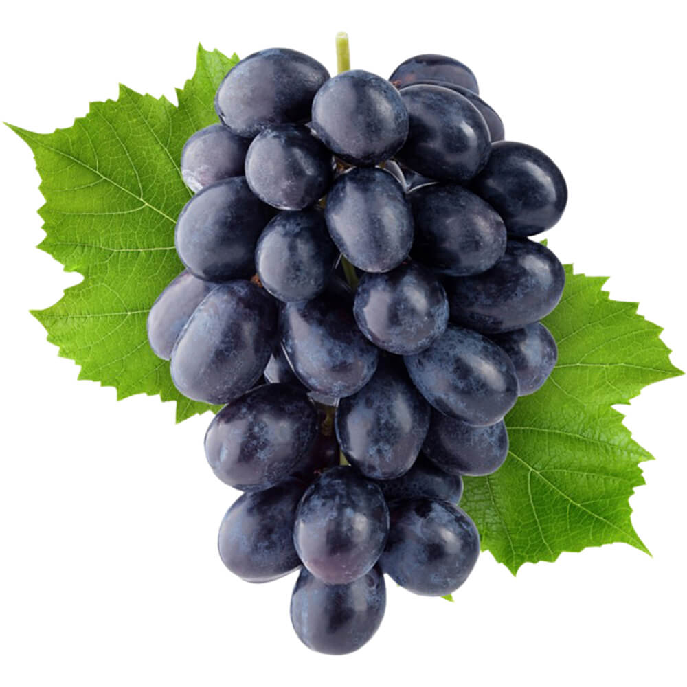 Black-Grapes-img-3