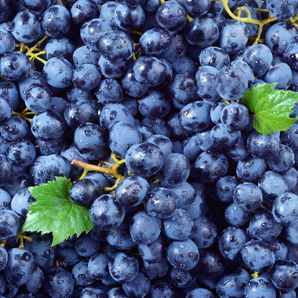 Black-Grapes-img-4