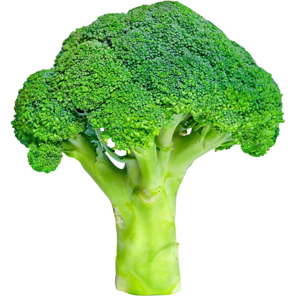 Broccoli-Sanitized-img-2