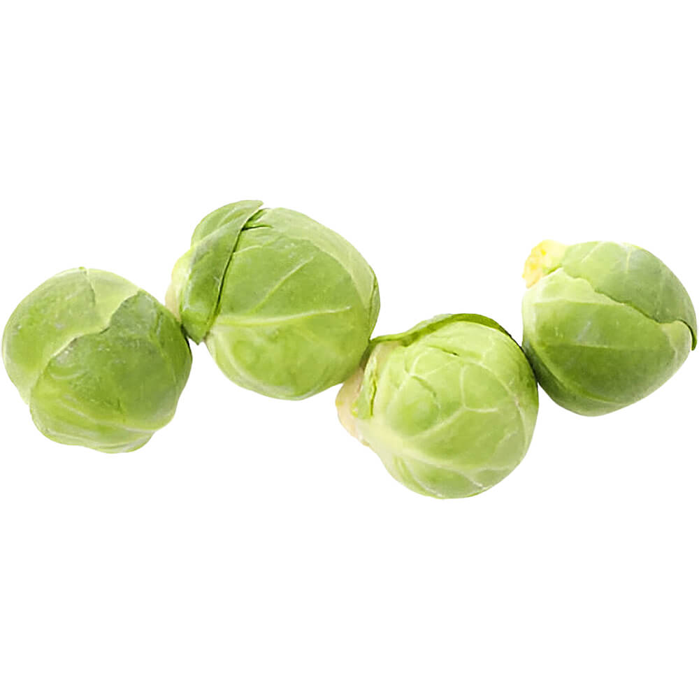 Brussels-Sprout-Holland-img-2