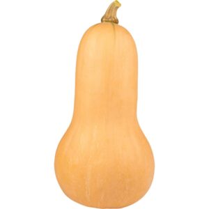 Butternut Pumpkin