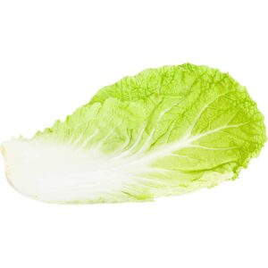 Cabbage Chinese Leaf Sanitized