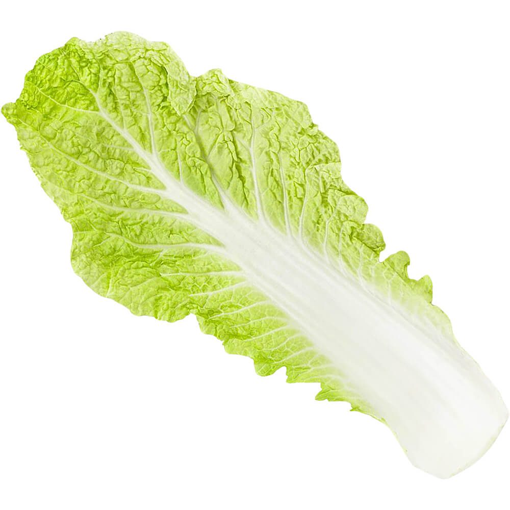 Cabbage-Chinese-Leaf-Sanitized-img-2