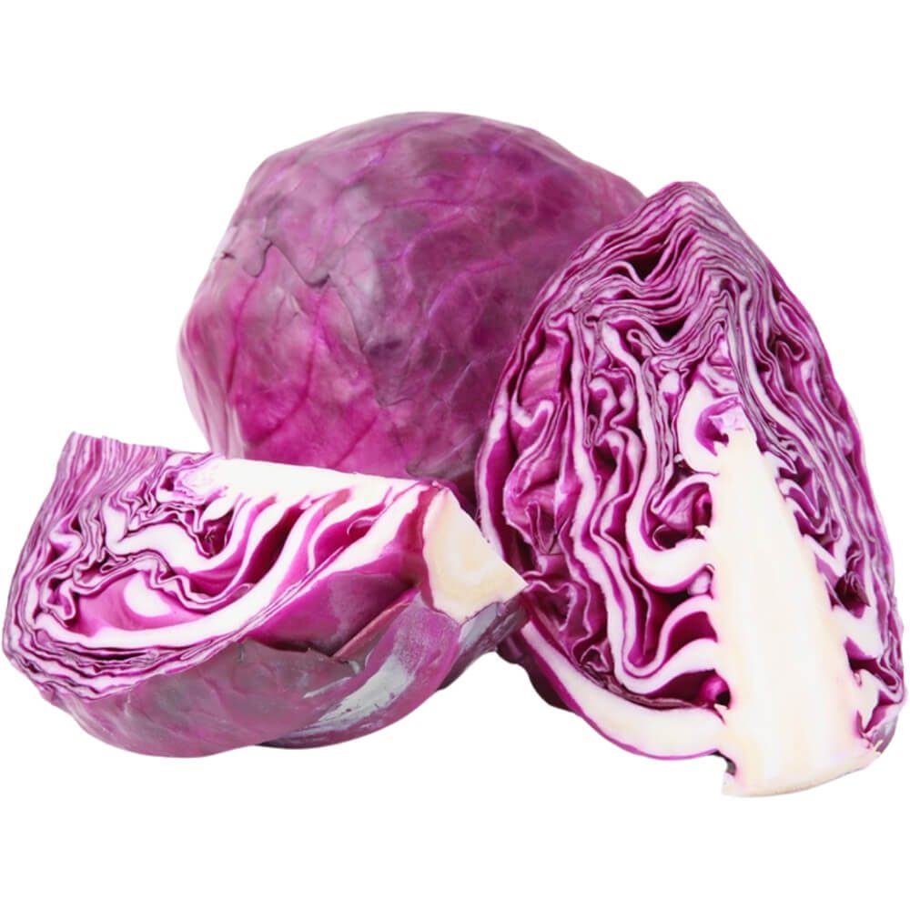 Cabbage-Red-img-3