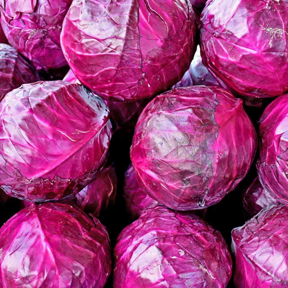 Cabbage-Red-img-4