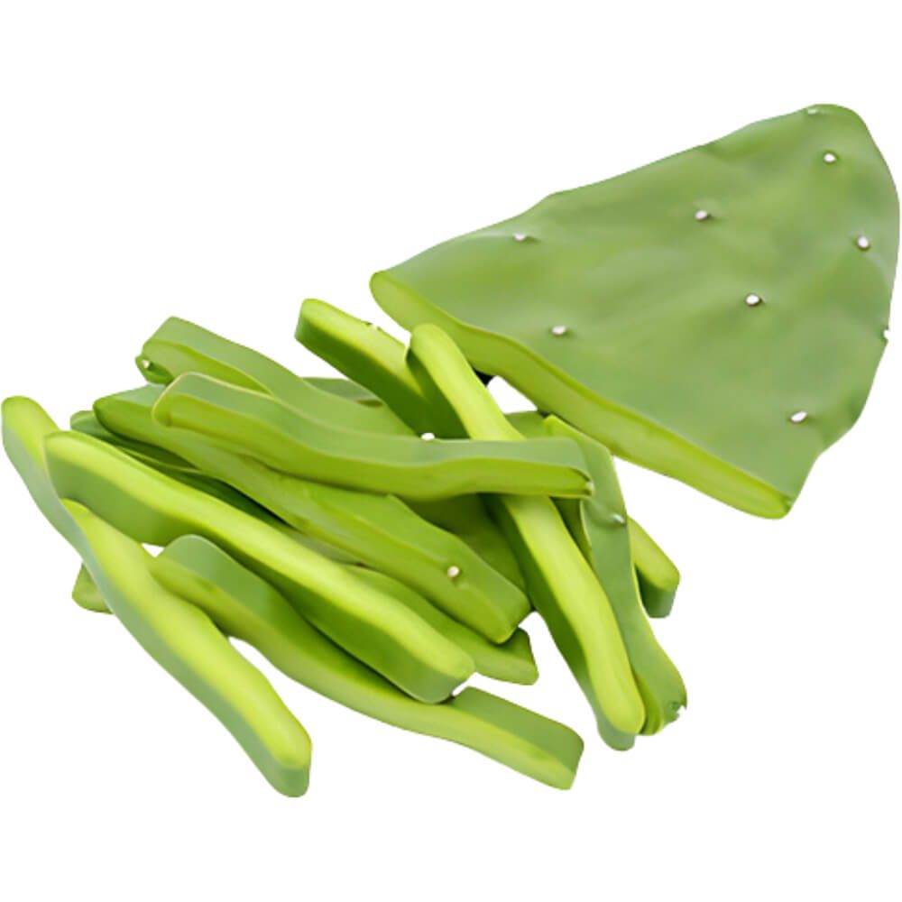 Cactus-Prickly-Nopal-img-3