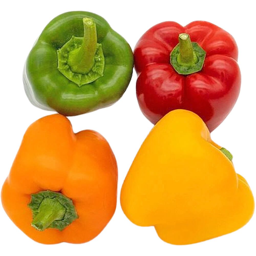Capsicum-Mix-Netherlands-img-2