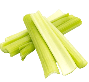 Celery Stick Sanitized