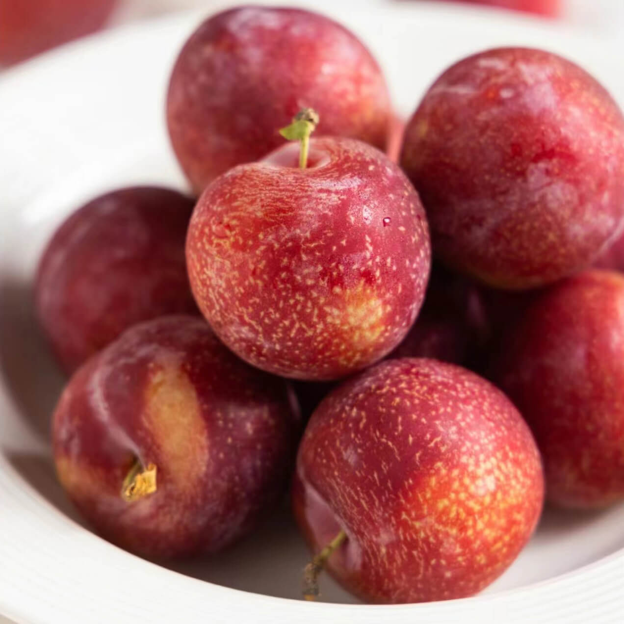 Cherry-Plum-img-4