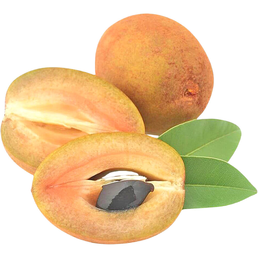 Chikoo-Sapodilla-img-2