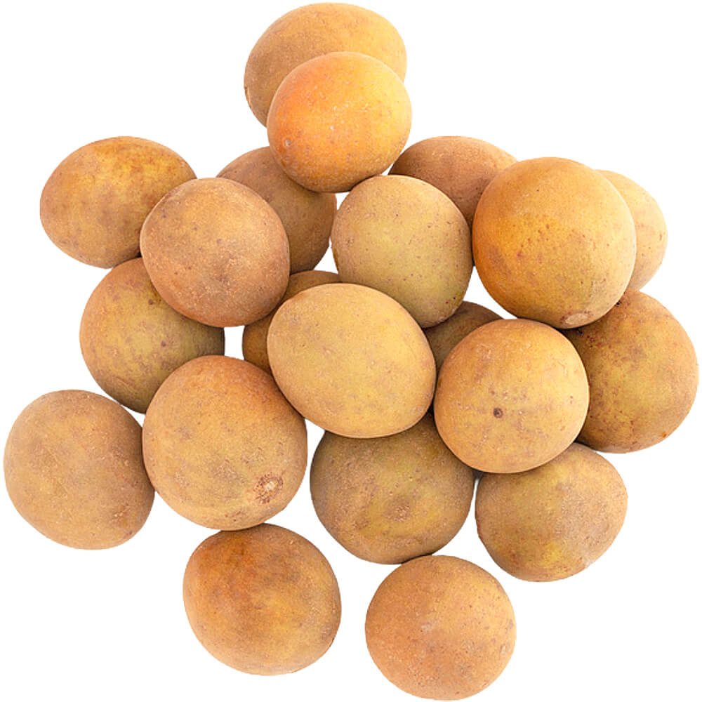Chikoo-Sapodilla-img-3