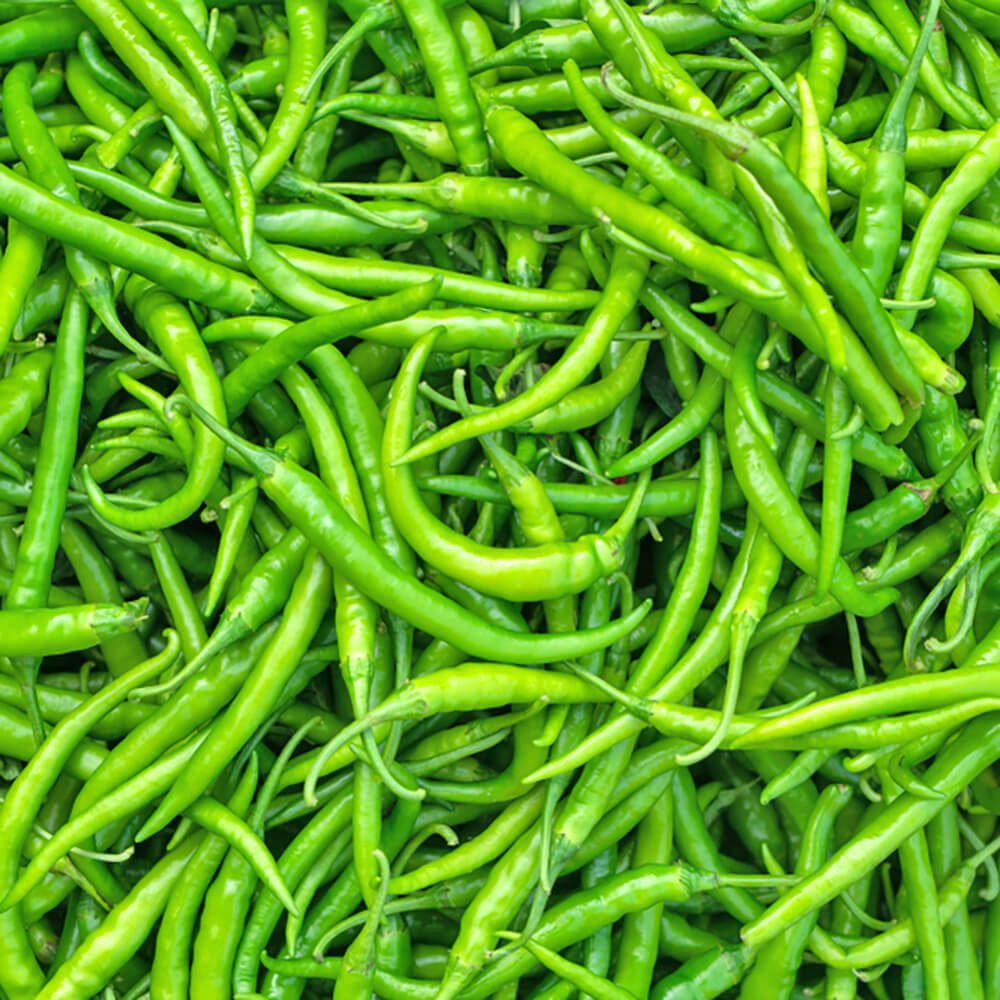 Chilli-Green-img-4