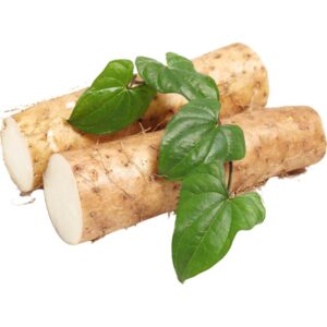 Chinese Yam