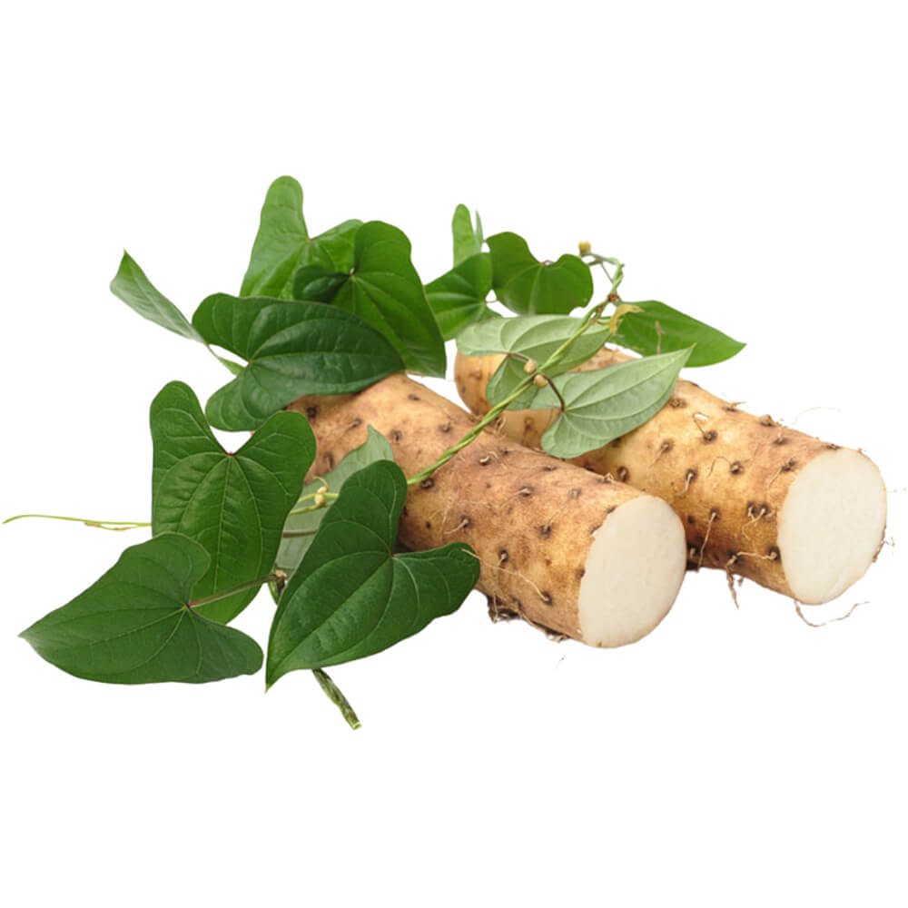 Chinese-Yam-img-2