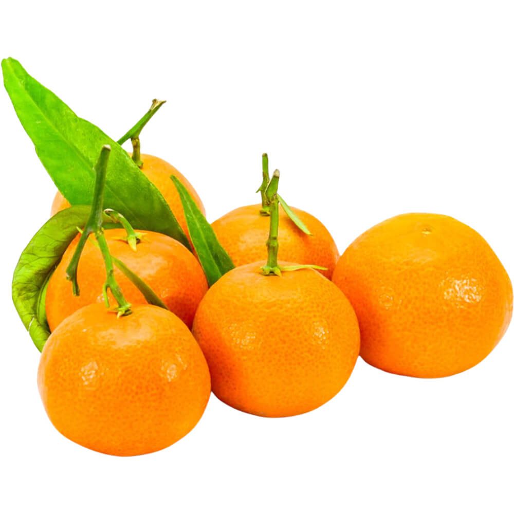 Clementine-img-2