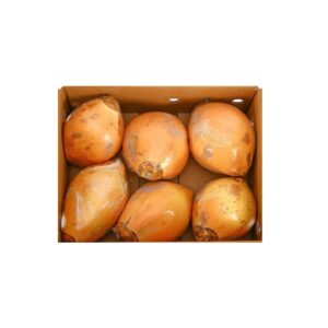 Coconut King/Yellow Box