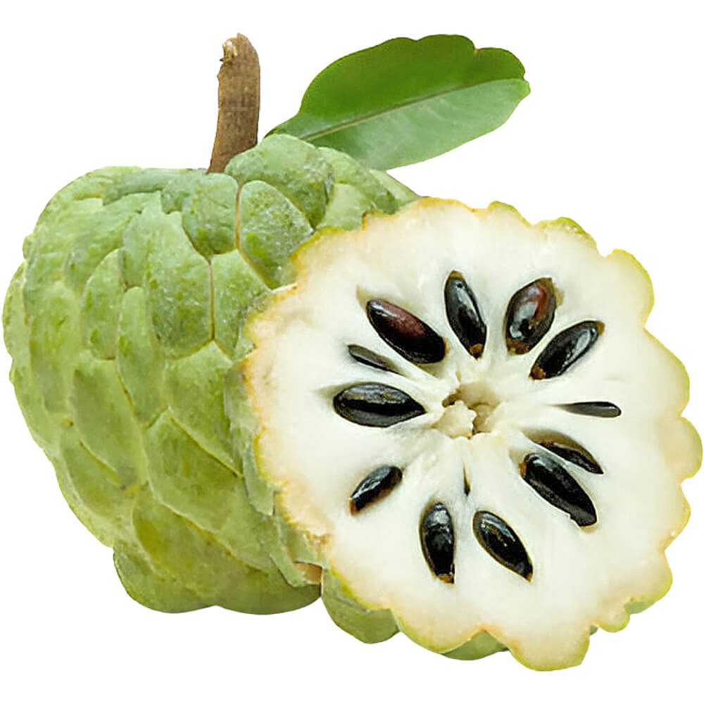 Custard-Apple-Brazil-img-2