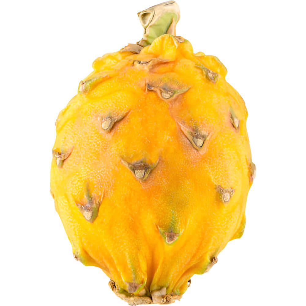 Dragon-Fruit-Yellow-Pithaya-Yellow-img-2