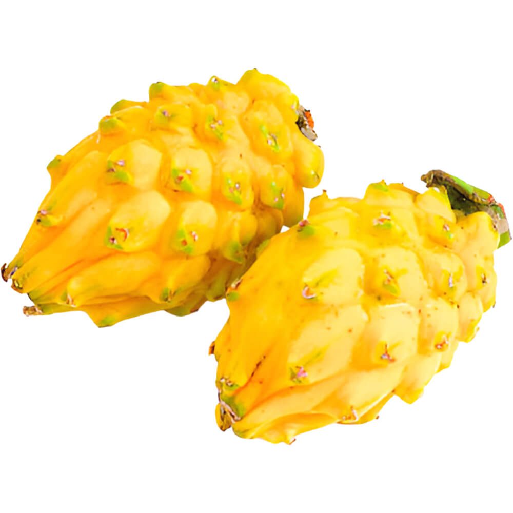 Dragon-Fruit-Yellow-Pithaya-Yellow-img-3