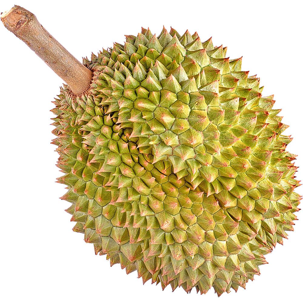 Durian-img-2
