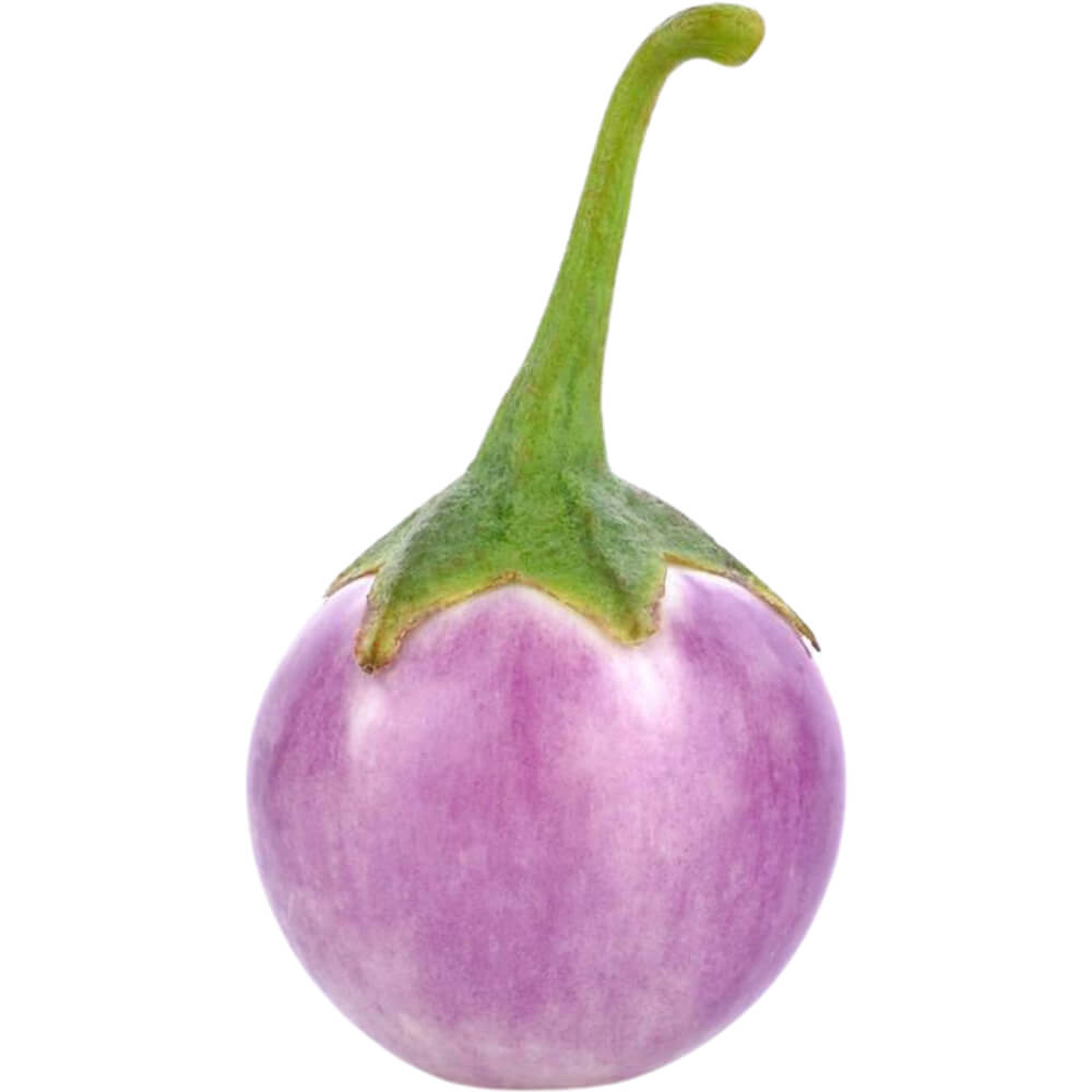 Eggplant-Baby-Pink-img-2