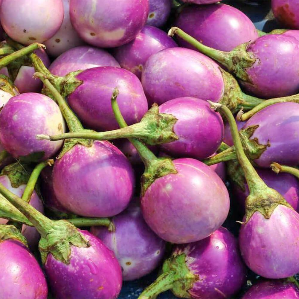 Eggplant-Baby-Pink-img-3