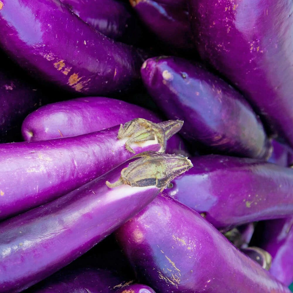 Eggplant-Long-img-4