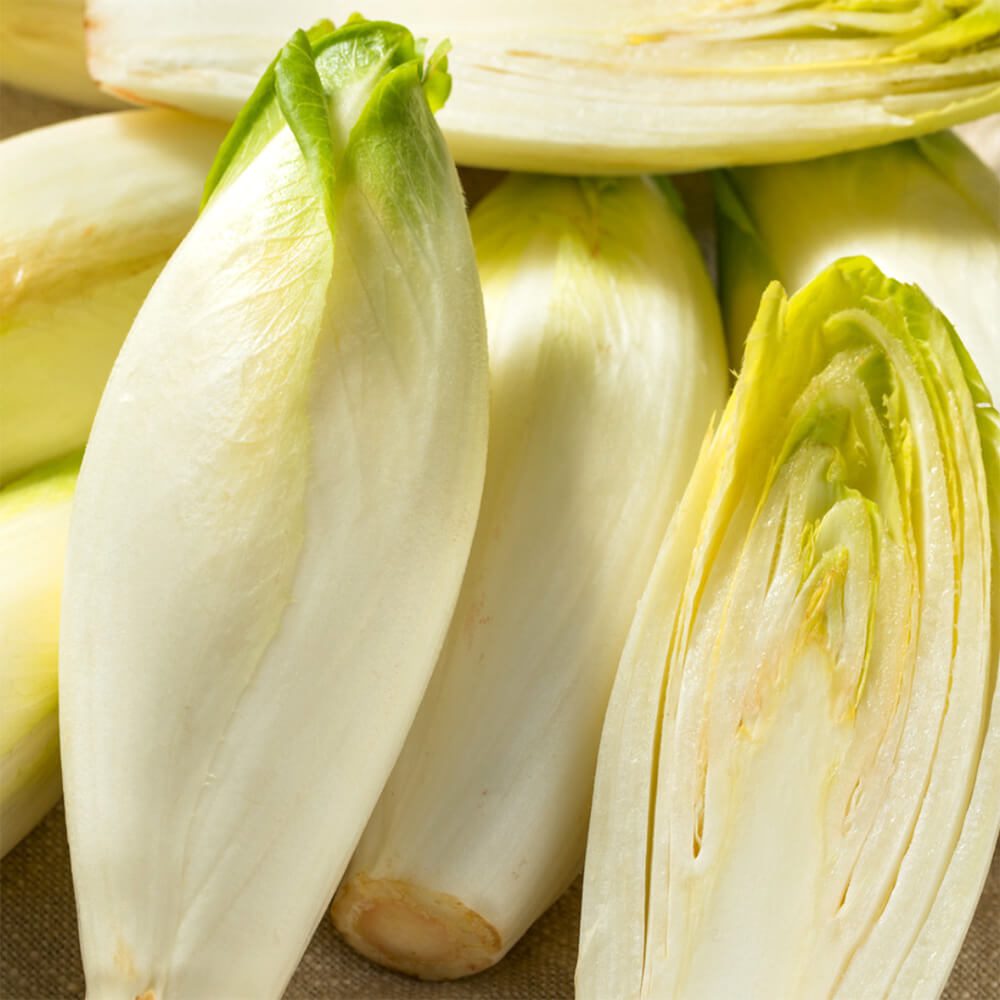 Endives-White-Chicory-img-2