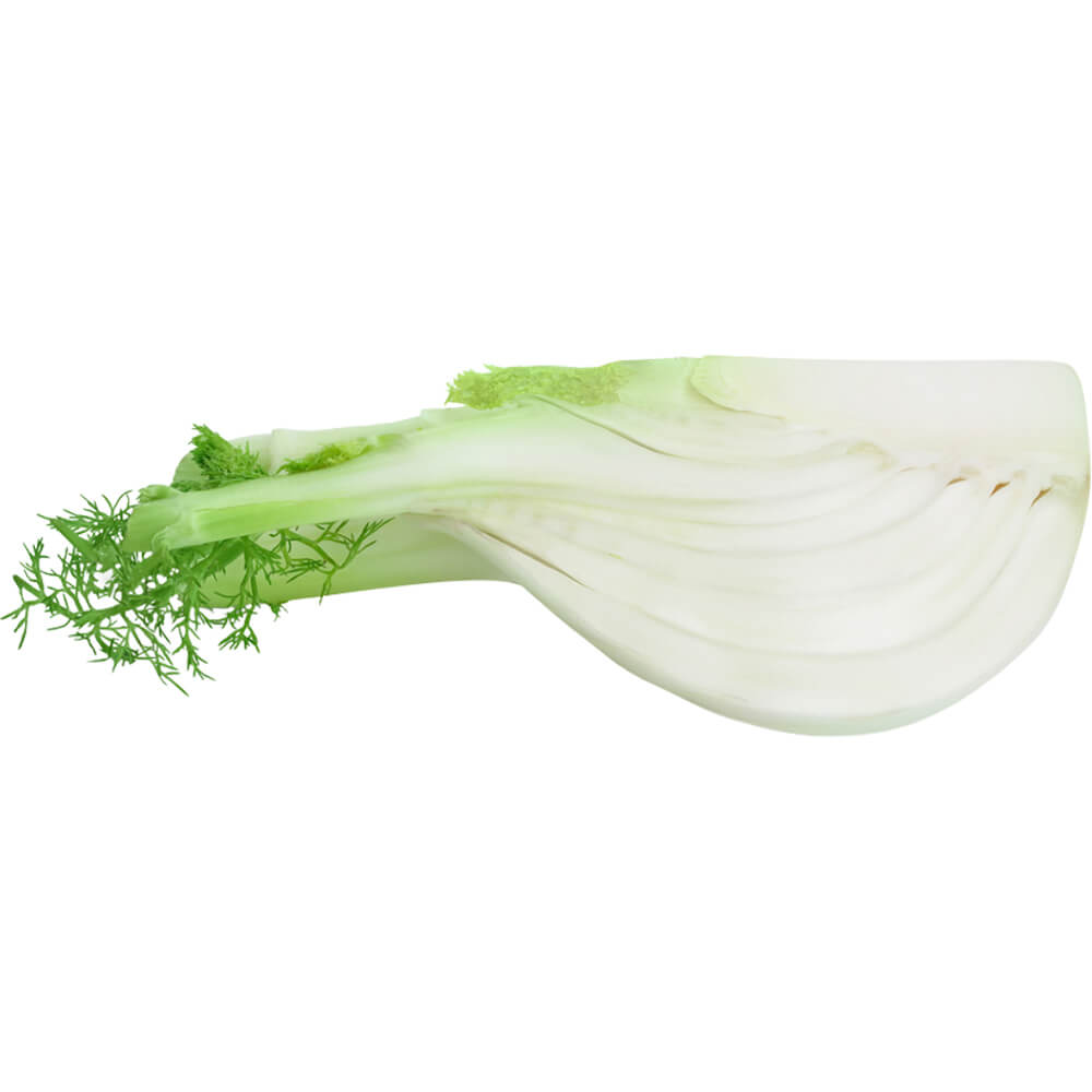 Fennel-img-2