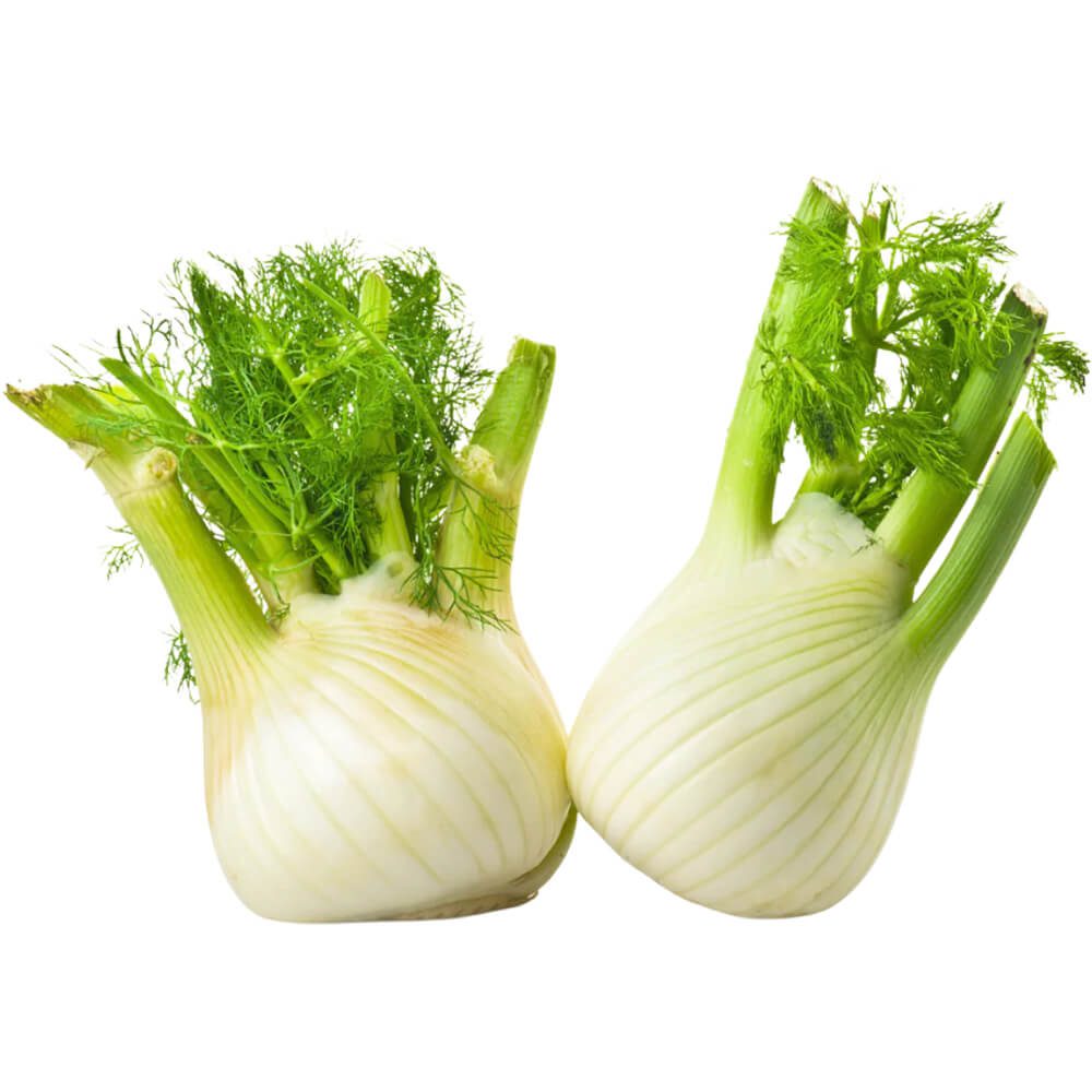 Fennel-img-3