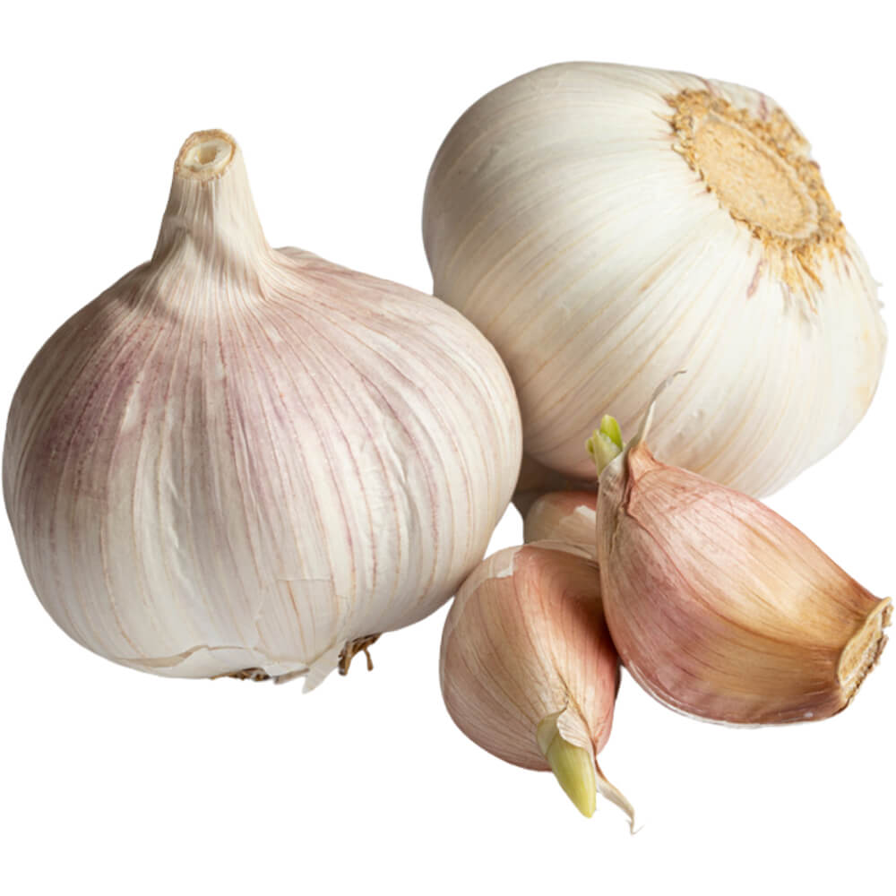 Garlic-img-2