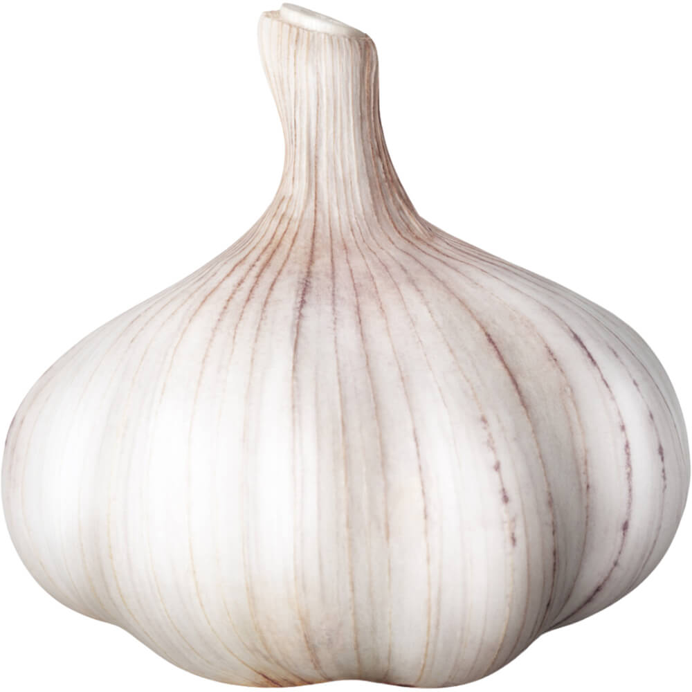 Garlic-img-3