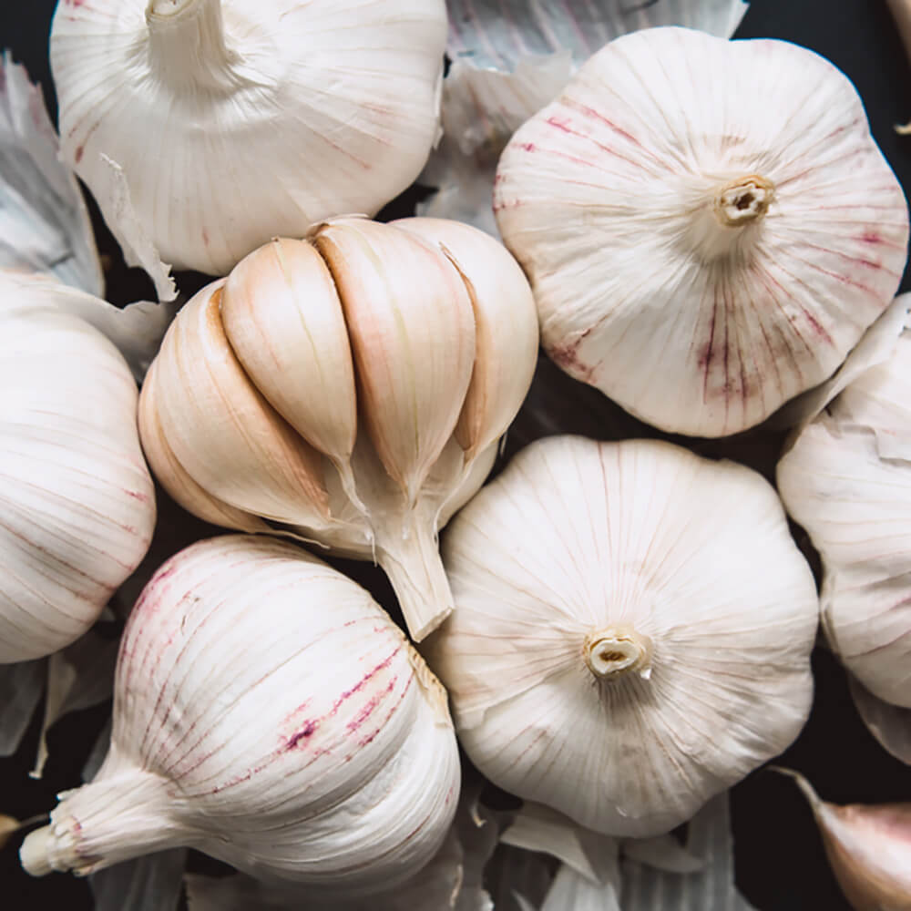 Garlic-img-4