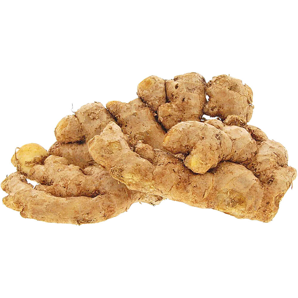 Ginger-India-img-2