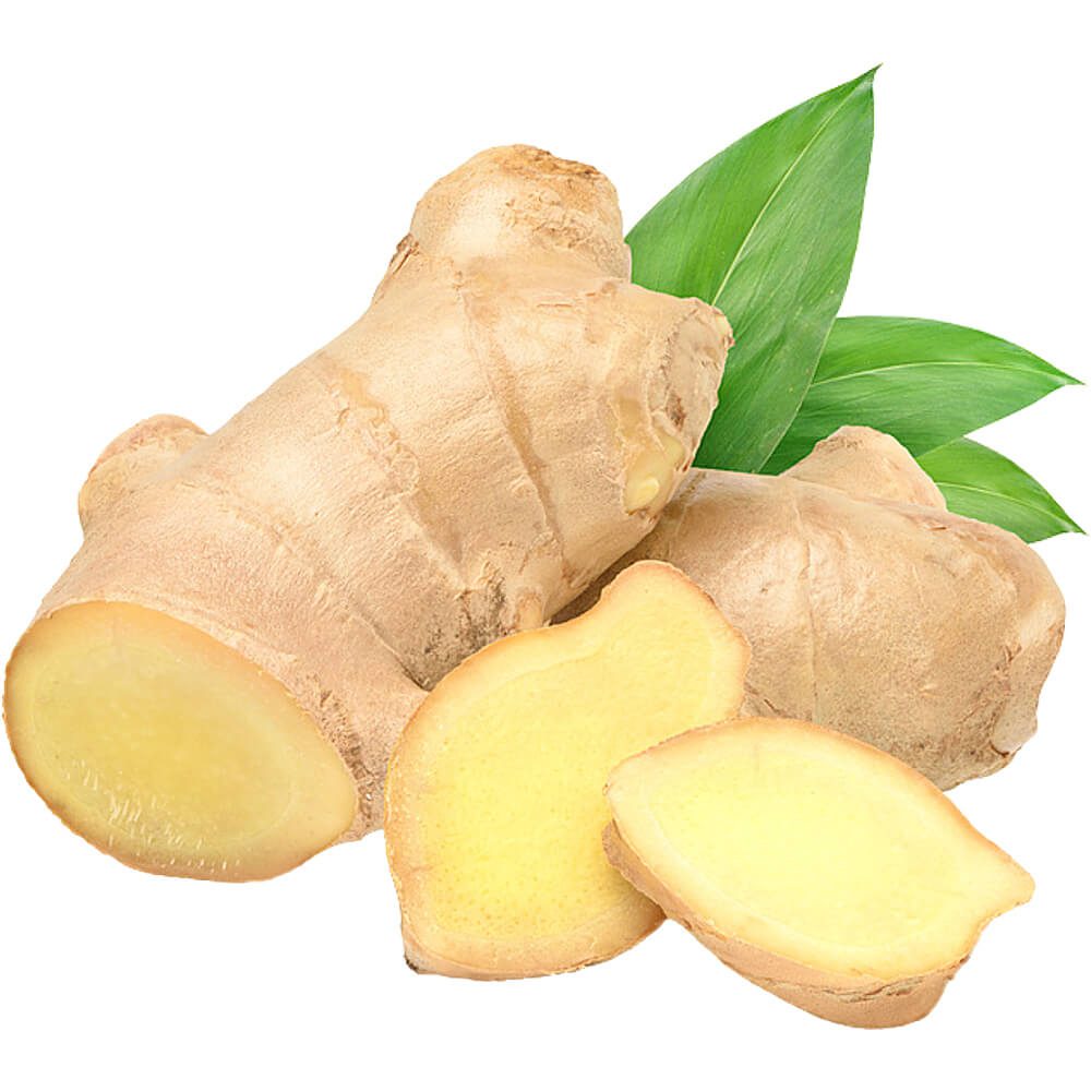 Ginger-Sanitized-img-2
