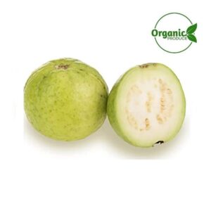 Guava Organic